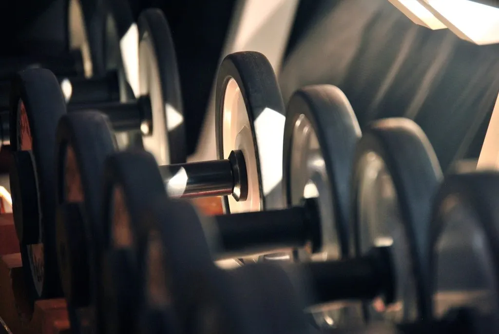 Mancuernas ordenadas en el rack del gimnasio